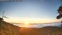 ./images/calvert/fitz-hugh-hecate/20260803/fitz-hugh-hecate20260803_061501M.jpg