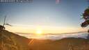 ./images/calvert/fitz-hugh-hecate/20260803/fitz-hugh-hecate20260803_062001M.jpg