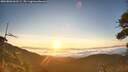 ./images/calvert/fitz-hugh-hecate/20260803/fitz-hugh-hecate20260803_062501M.jpg