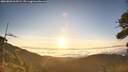 ./images/calvert/fitz-hugh-hecate/20260803/fitz-hugh-hecate20260803_064501M.jpg