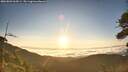./images/calvert/fitz-hugh-hecate/20260803/fitz-hugh-hecate20260803_065001M.jpg