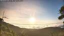 ./images/calvert/fitz-hugh-hecate/20260803/fitz-hugh-hecate20260803_065501M.jpg