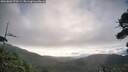 ./images/calvert/fitz-hugh-hecate/20260803/fitz-hugh-hecate20260803_070501M.jpg