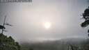 ./images/calvert/fitz-hugh-hecate/20260803/fitz-hugh-hecate20260803_071001M.jpg