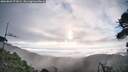 ./images/calvert/fitz-hugh-hecate/20260803/fitz-hugh-hecate20260803_072002M.jpg