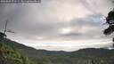 ./images/calvert/fitz-hugh-hecate/20260803/fitz-hugh-hecate20260803_073501M.jpg