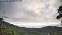 ./images/calvert/fitz-hugh-hecate/20260803/fitz-hugh-hecate20260803_074002M.jpg