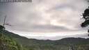 ./images/calvert/fitz-hugh-hecate/20260803/fitz-hugh-hecate20260803_074501M.jpg