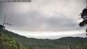 ./images/calvert/fitz-hugh-hecate/20260803/fitz-hugh-hecate20260803_075001M.jpg