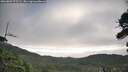./images/calvert/fitz-hugh-hecate/20260803/fitz-hugh-hecate20260803_075502M.jpg