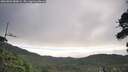 ./images/calvert/fitz-hugh-hecate/20260803/fitz-hugh-hecate20260803_080001M.jpg
