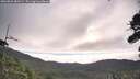 ./images/calvert/fitz-hugh-hecate/20260803/fitz-hugh-hecate20260803_080501M.jpg