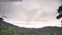 ./images/calvert/fitz-hugh-hecate/20260803/fitz-hugh-hecate20260803_081001M.jpg