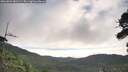 ./images/calvert/fitz-hugh-hecate/20260803/fitz-hugh-hecate20260803_081501M.jpg
