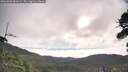 ./images/calvert/fitz-hugh-hecate/20260803/fitz-hugh-hecate20260803_082001M.jpg