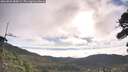 ./images/calvert/fitz-hugh-hecate/20260803/fitz-hugh-hecate20260803_083001M.jpg