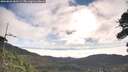 ./images/calvert/fitz-hugh-hecate/20260803/fitz-hugh-hecate20260803_083501M.jpg