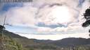 ./images/calvert/fitz-hugh-hecate/20260803/fitz-hugh-hecate20260803_084001M.jpg
