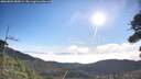 ./images/calvert/fitz-hugh-hecate/20260803/fitz-hugh-hecate20260803_085001M.jpg