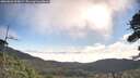 ./images/calvert/fitz-hugh-hecate/20260803/fitz-hugh-hecate20260803_090002M.jpg