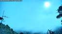 ./images/calvert/fitz-hugh-hecate/20260803/fitz-hugh-hecate20260803_093001M.jpg