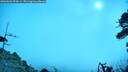 ./images/calvert/fitz-hugh-hecate/20260803/fitz-hugh-hecate20260803_094501M.jpg