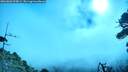 ./images/calvert/fitz-hugh-hecate/20260803/fitz-hugh-hecate20260803_095001M.jpg