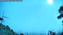 ./images/calvert/fitz-hugh-hecate/20260803/fitz-hugh-hecate20260803_100001M.jpg
