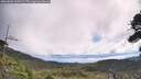 ./images/calvert/fitz-hugh-hecate/20260803/fitz-hugh-hecate20260803_104502M.jpg