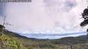 ./images/calvert/fitz-hugh-hecate/20260803/fitz-hugh-hecate20260803_105001M.jpg