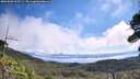 ./images/calvert/fitz-hugh-hecate/20260803/fitz-hugh-hecate20260803_105501M.jpg