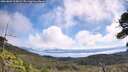 ./images/calvert/fitz-hugh-hecate/20260803/fitz-hugh-hecate20260803_110001M.jpg