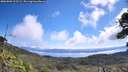 ./images/calvert/fitz-hugh-hecate/20260803/fitz-hugh-hecate20260803_112501M.jpg