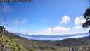 ./images/calvert/fitz-hugh-hecate/20260803/fitz-hugh-hecate20260803_113002M.jpg