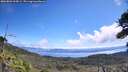 ./images/calvert/fitz-hugh-hecate/20260803/fitz-hugh-hecate20260803_115001M.jpg
