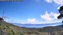 ./images/calvert/fitz-hugh-hecate/20260803/fitz-hugh-hecate20260803_115502M.jpg