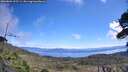 ./images/calvert/fitz-hugh-hecate/20260803/fitz-hugh-hecate20260803_122501M.jpg