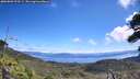 ./images/calvert/fitz-hugh-hecate/20260803/fitz-hugh-hecate20260803_123501M.jpg