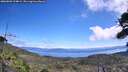 ./images/calvert/fitz-hugh-hecate/20260803/fitz-hugh-hecate20260803_124001M.jpg