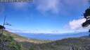 ./images/calvert/fitz-hugh-hecate/20260803/fitz-hugh-hecate20260803_143001M.jpg