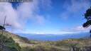 ./images/calvert/fitz-hugh-hecate/20260803/fitz-hugh-hecate20260803_154002M.jpg