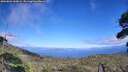 ./images/calvert/fitz-hugh-hecate/20260803/fitz-hugh-hecate20260803_160001M.jpg