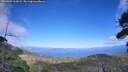 ./images/calvert/fitz-hugh-hecate/20260803/fitz-hugh-hecate20260803_162002M.jpg