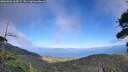 ./images/calvert/fitz-hugh-hecate/20260803/fitz-hugh-hecate20260803_165001M.jpg