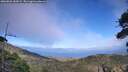 ./images/calvert/fitz-hugh-hecate/20260803/fitz-hugh-hecate20260803_182002M.jpg
