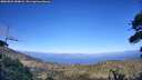 ./images/calvert/fitz-hugh-hecate/20260803/fitz-hugh-hecate20260803_184001M.jpg