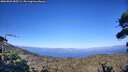 ./images/calvert/fitz-hugh-hecate/20260803/fitz-hugh-hecate20260803_185501M.jpg