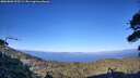 ./images/calvert/fitz-hugh-hecate/20260803/fitz-hugh-hecate20260803_192501M.jpg