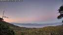 ./images/calvert/fitz-hugh-hecate/20260803/fitz-hugh-hecate20260803_213502M.jpg