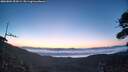 ./images/calvert/fitz-hugh-hecate/20260804/fitz-hugh-hecate20260804_053002M.jpg